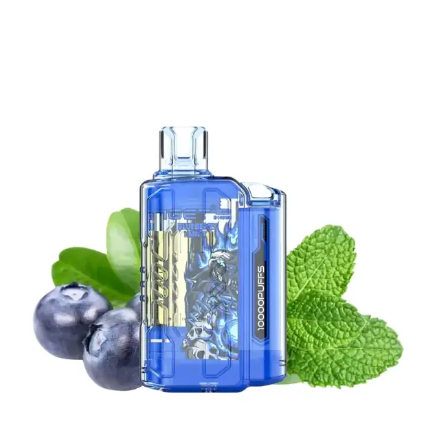 Blueberry Mint – IGET Flare B10000 Puffs IGET Flare B10000 — buy IGET vape online in Australia