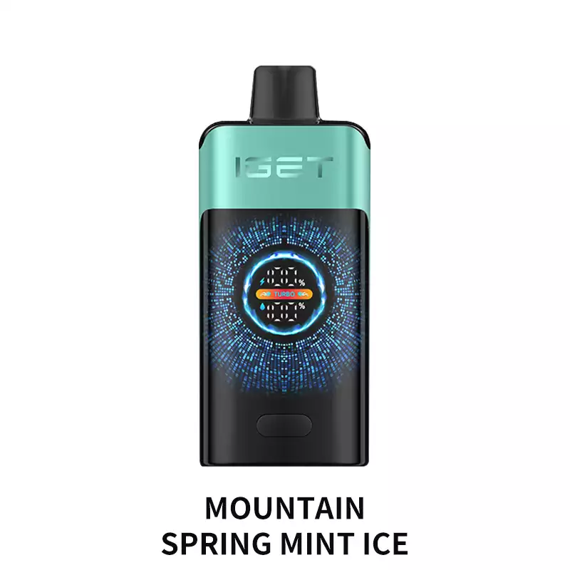 Mountain Spring Mint Ice IGET One 12000 Puffs IGET One — buy IGET vape online in Australia